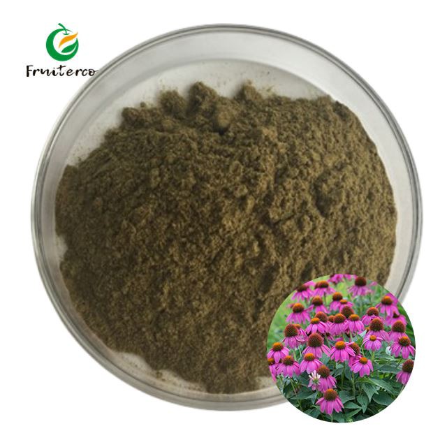 Echinacea Purpurea Extract hmoov