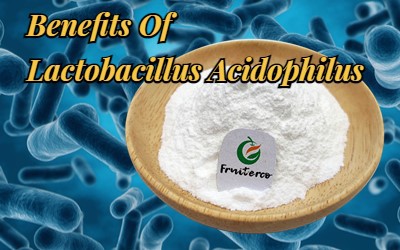 Lactobacillus Acidophilus