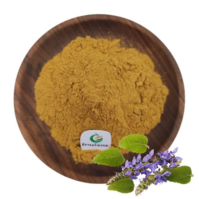 Coleus Forskohlii Extract (2)