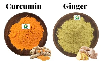 curcumin (1).jpg curcumin (1).jpg