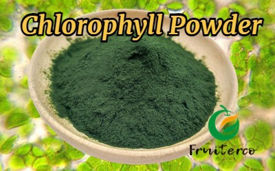 Chlorophyll (1).jpg