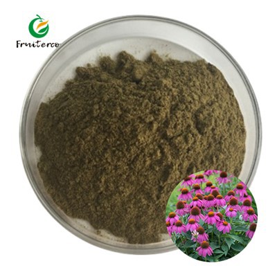 Echinacea Purpurea Extract hmoov