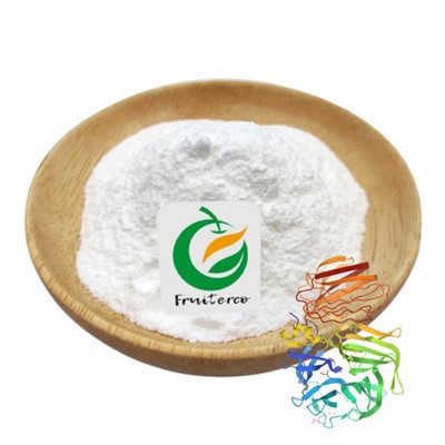 Invertase enzyme hmoov