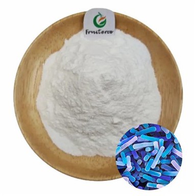 Lactobacillus Bulgaricus hmoov