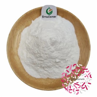 Lactobacillus cog hmoov av