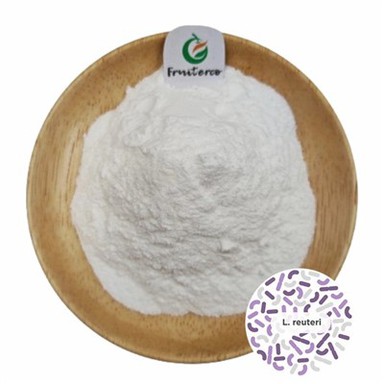 Lactobacillus reuteri hmoov