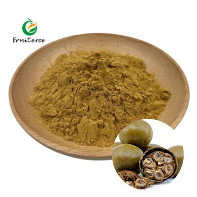 Monk Fruit Extract Powder