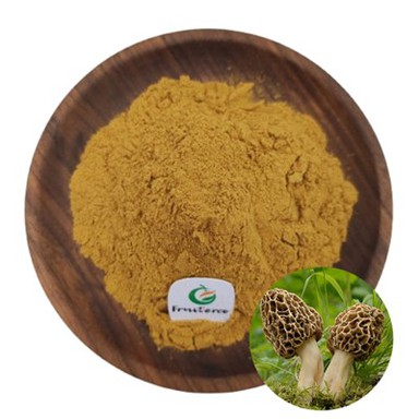 Morchella extract