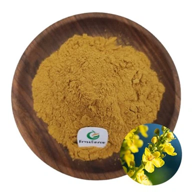 Mullein Nplooj Extract
