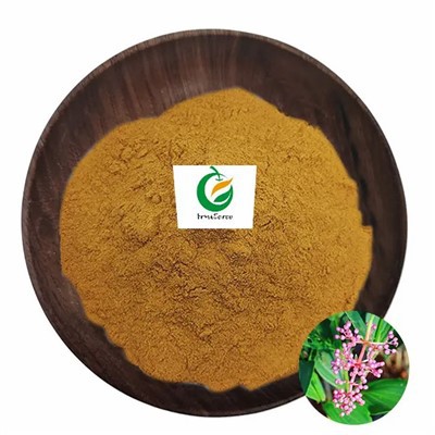 Sakae Naa Combretum Quadranguligulare Extract