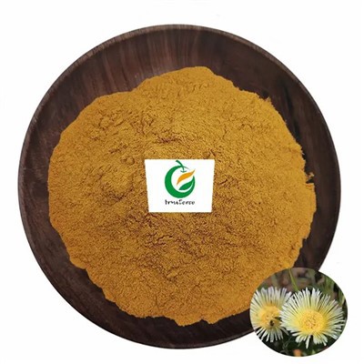 Scelessium tortuosum extract