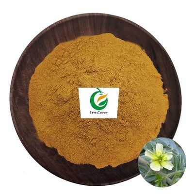 Tribulus Terrestri Extract Hmoov