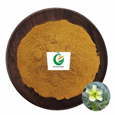 Tribulus Terrestri Extract Hmoov